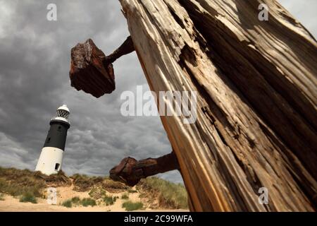 Holzschutz und Leuchtturm am Spurn Point, in der Nähe von Kilnsea, East Yorkshire, Großbritannien. Stockfoto