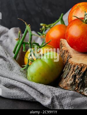 Vertikale Nahaufnahme von frischen grünen und roten Tomaten auf Ein Baumstumpf auf schwarzem Hintergrund Stockfoto