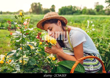 Junge Frau riecht Blumen im Garten. Gärtner schneidet Rosen mit dem Beschneider ab. Gartenarbeit im Sommer Stockfoto