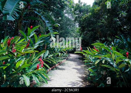 Joya de Ceren archäologische Stätte in El Salvador, mit einem präkolumbianischen Maya-Bauerndorf Stockfoto