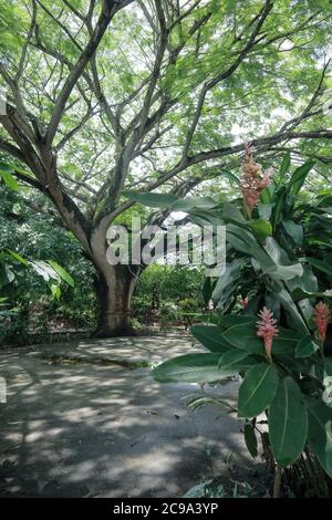 Joya de Ceren archäologische Stätte in El Salvador, mit einem präkolumbianischen Maya-Bauerndorf Stockfoto