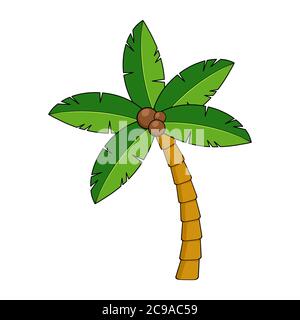 Coco Palme Karikatur isoliert auf weiß. Tropische Palmenklippe. Exotische Kokosnuss Palmtree Grafik für Sommer Poster oder Postkarte. Form des Paradieses Stock Vektor