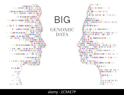 DNA-Test-Infografik. Große genomische Daten mit Menschen konfrontiert. Genomsequenzkarte. Vektorgrafik. Stock Vektor