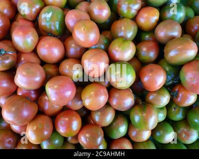 Nahaufnahme von halbreifen Tomaten Stockfoto