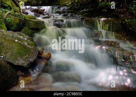 Bewegung verschwommenes Wasser fließt über die Felsen in einem Bach in North Carolina Stockfoto