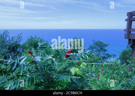 Inspiration Point, Arcadia, Michigan Stockfoto