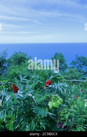 Inspiration Point, Arcadia, Michigan Stockfoto