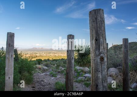 Alte Zaunpfosten auf dem Weg, Baylor Pass NM Stockfoto