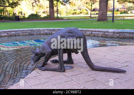 Perth, Western Australia - Jun, 2020: Kängurus in der Stadt. Bronzeskulptur von großen männlichen Western Grey Kängurus trinken aus Brunnen. Von Charle Sm Stockfoto