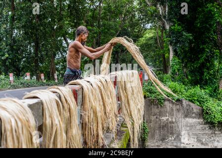 Dhaka, Bangladesch. Juli 2020. Bangladeschischer Bauer setzt Jute auf ein Gestell zum Trocknen. Jute ist die goldene Faser Bangladeschs und spielt eine wichtige Rolle in der nationalen Wirtschaft. In Bangladesch steigen 80 Prozent der weltweit hochwertigen Jute. Jute wird verwendet, um Stoff, Schal, Gürtel, Trägergewebe für Teppiche, Büchsenbeutel und viele andere nützliche Produkte zu machen. Jute-Beutel sind auch gut geeignet für Lebensmittelkornverpackungen. Kredit: SOPA Images Limited/Alamy Live Nachrichten Stockfoto