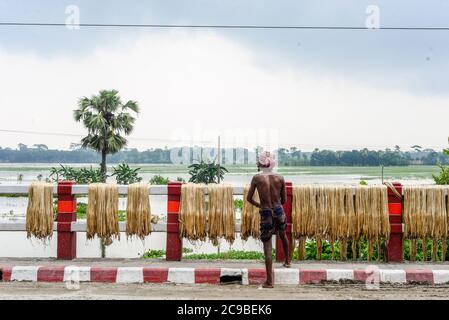 Dhaka, Bangladesch. Juli 2020. Bangladeschischer Bauer setzt Jute auf ein Gestell zum Trocknen. Jute ist die goldene Faser Bangladeschs und spielt eine wichtige Rolle in der nationalen Wirtschaft. In Bangladesch steigen 80 Prozent der weltweit hochwertigen Jute. Jute wird verwendet, um Stoff, Schal, Gürtel, Trägergewebe für Teppiche, Büchsenbeutel und viele andere nützliche Produkte zu machen. Jute-Beutel sind auch gut geeignet für Lebensmittelkornverpackungen. Kredit: SOPA Images Limited/Alamy Live Nachrichten Stockfoto