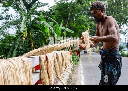 Dhaka, Bangladesch. Juli 2020. Bangladeschischer Bauer setzt Jute auf ein Gestell zum Trocknen. Jute ist die goldene Faser Bangladeschs und spielt eine wichtige Rolle in der nationalen Wirtschaft. In Bangladesch steigen 80 Prozent der weltweit hochwertigen Jute. Jute wird verwendet, um Stoff, Schal, Gürtel, Trägergewebe für Teppiche, Büchsenbeutel und viele andere nützliche Produkte zu machen. Jute-Beutel sind auch gut geeignet für Lebensmittelkornverpackungen. Kredit: SOPA Images Limited/Alamy Live Nachrichten Stockfoto