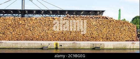 Großer Holzstapel an einem Dock am Fluss Trave (in der Nähe der Ostsee). Stapel von Holzstämmen. Stockfoto