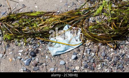 Travemünde, Schleswig-Holstein / Deutschland - 24. Juni 2020: Einweg-Gesichtsmaske an einem Strand zwischen Sand, Kies und Seegras gewaschen. Verloren oder werfen Stockfoto