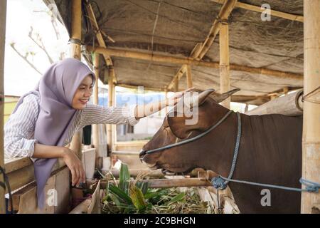 muslimische Bäuerin Fütterung Tier auf traditionellen Bauernhof Stockfoto