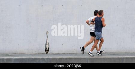 Berlin, Deutschland. Juli 2020. Zwei Jogger laufen im Regierungsviertel an einem Graureiher vorbei. Quelle: Fabian Sommer/dpa/Alamy Live News Stockfoto