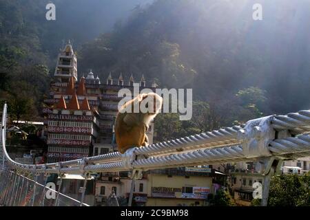 Lakshman Jhula ist eine Hängebrücke über den Fluss Ganges, Rishikesh und Haridwar sind beliebtes Touristenziel als Zwillingsstadt bezeichnet Stockfoto