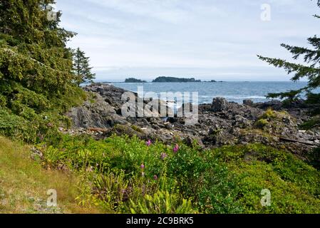 Wunderschöner Meerblick in Ucluelet, British Columbia, Kanada, vom Wild Pacific Trail aus gesehen. Westküste Kanadas. Stockfoto