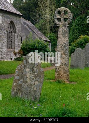 Sehen Sie ENE der Pre-Conquest Radkopfkreuze S von St. Sidwell's Church, LanEast, Cornwall, England, UK. Ein etwa 3m hoher, grob gehauener Granitmonolith. Stockfoto