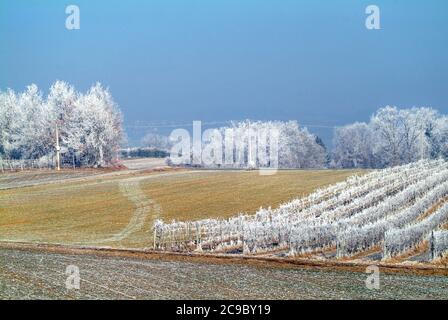 Gefrorene Landschaft im Piemont im Winter Stockfoto