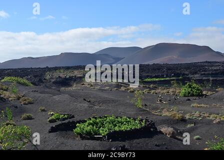 Die weite Leere und Einsamkeit der Lanzarote schwarz gefrorenen Lava vulkanischen Wüste und Vulkane im Hintergrund. Lanzarote, Kanarische Inseln. Spanien Stockfoto