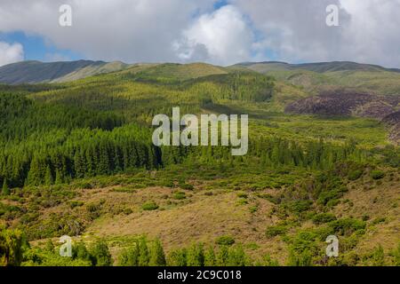 Hügel über Feldern. Terceira Insel auf den Azoren mit blauem Himmel und Wolken. Stockfoto