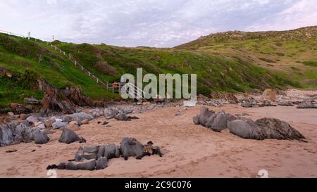 Der Strand von Petrel Cove auf der Fleurieu Peninsula Victor Harbor South Australia am 28 2020. Juli Stockfoto