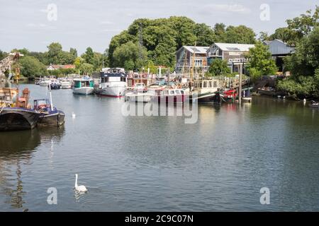 Bootswerften und Anlegestellen auf Eel Pie Island, Twickenham, London, Großbritannien Stockfoto
