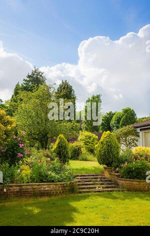 Eine Szene in einem englischen Landgarten mit zwei erhöhten krautigen Rändern und Steinstufen, die zu einem Rasen mit Bäumen im Frühsommer führen Stockfoto