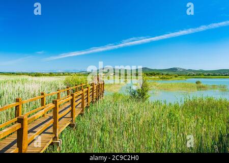 Naturpark Vrana See (Vransko jezero), Dalmatien, Kroatien, Holzweg im Beobachtungspark Stockfoto