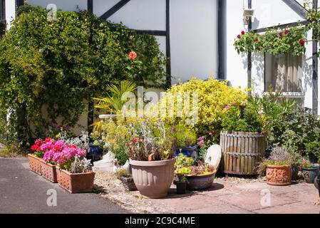 Ein kleiner Terrassengarten neben einer alten umgebauten Scheune in einem englischen Garten im Juli Stockfoto