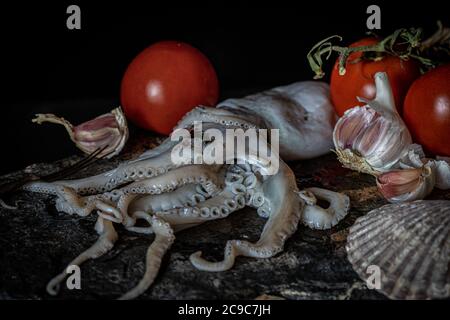 Frischer Oktopus mit Knoblauch und Tomaten Stockfoto