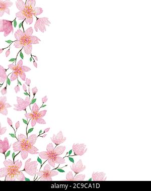Schöne rosa Kirschblüten Rahmen, Aquarell Frühlingsblumen und grünen Blättern Grenze für Grüße, Karten, Muttertag, osterferien Design Stockfoto