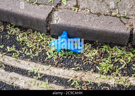 Chirurgischer Handschuh zum Schutz vor öffentlich entsorgten Covid-19-Viren. Blaue persönliche Schutzausrüstung, weggeworfene Kunststoffhandschuhe, PSA-Abfall, Stockfoto