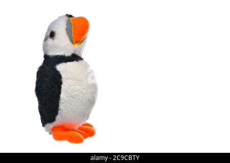 Puffin Vogel weiches Spielzeug, Seevögel Tier isoliert auf weißem Hintergrund mit Kopierraum. Stockfoto