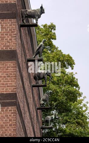 Bonn, Regierungsviertel (Bundesviertel, Parlamentsviertel), Gebäude des Bundesministeriums für das Post- und Fernmeldewesen, 1953-1954 von Josef Trimb Stockfoto