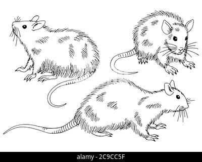 Ratte Set Grafik schwarz weiß isoliert Skizze Illustration Vektor Stock Vektor