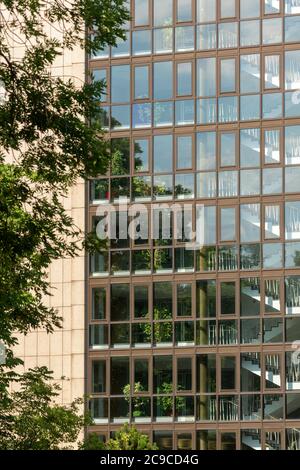 Bonn, Regierungsviertel (Bundesviertel, Parlamentsviertel), Gebäude des Auswärtigen Amts, 1953-1955 von Hans Freese und Robert Glatzer erbaut, Westfas Stockfoto