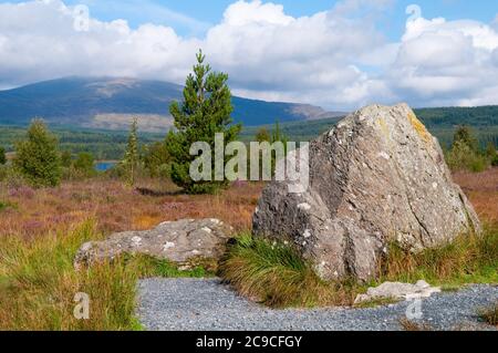 Robert the Bruce's Stone auf Raploch Moss in den Galloway Hills Stockfoto