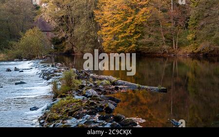 Kleiner Natursteindamm am Fluss 'La Sioule' im Herbst. Gelbe und orangefarbene Bäume spiegeln sich im Fluss. Stockfoto