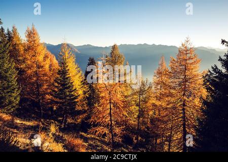Alpine Landschaft in herbstlicher Kleidung Stockfoto