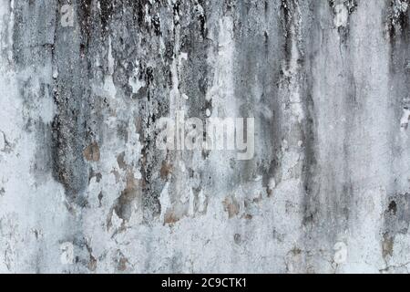 Schimmel, Pilz, und White Peeling Gemälde auf alten Beton Wand Hintergrund. Geeignet für Präsentation und Hintergrund. Stockfoto