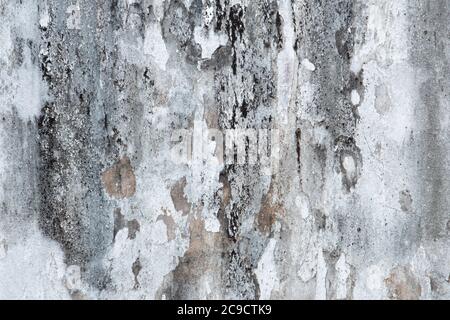 Schimmel, Pilz, und White Peeling Gemälde auf alten Beton Wand Hintergrund. Geeignet für Präsentation und Hintergrund. Stockfoto