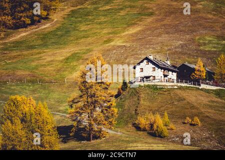 Livigno - Valtellina (IT) - Typische Berghütte im Herbst Stockfoto