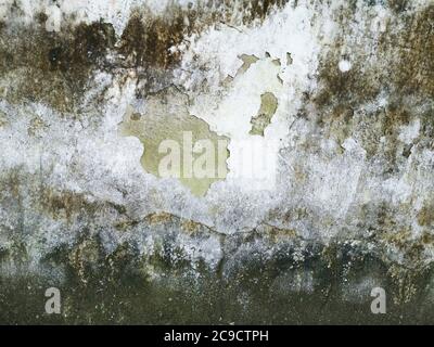 Schimmel, Pilz, und White Peeling Gemälde auf alten Beton Wand Hintergrund. Geeignet für Präsentation und Hintergrund Stockfoto