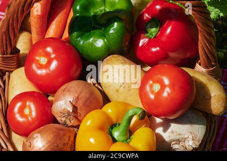 Makroaufnahme eines Korbes mit verschiedenen Gemüse im Sonnenlicht. Stockfoto