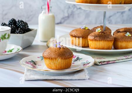 Frisch gebackene Brombeeren und Mandelfriands - kleine Kuchen, beliebt in Australien und Neuseeland Stockfoto