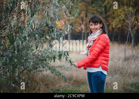 Schöne junge lächelnde Frau in Jeans und helle Jacke im Freien im Herbst Wald Stockfoto