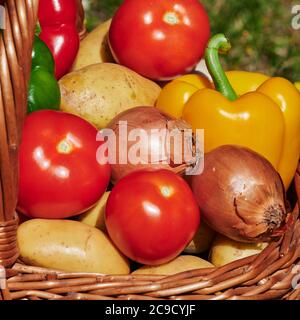 Makroaufnahme eines Korbes mit verschiedenen Gemüse im Sonnenlicht. Stockfoto