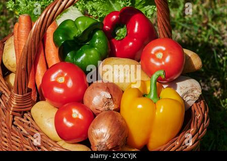 Makroaufnahme eines Korbes mit verschiedenen Gemüse im Sonnenlicht. Stockfoto
